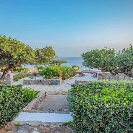 Ferma Solaris Apartments Agia Fotia  Esterno foto