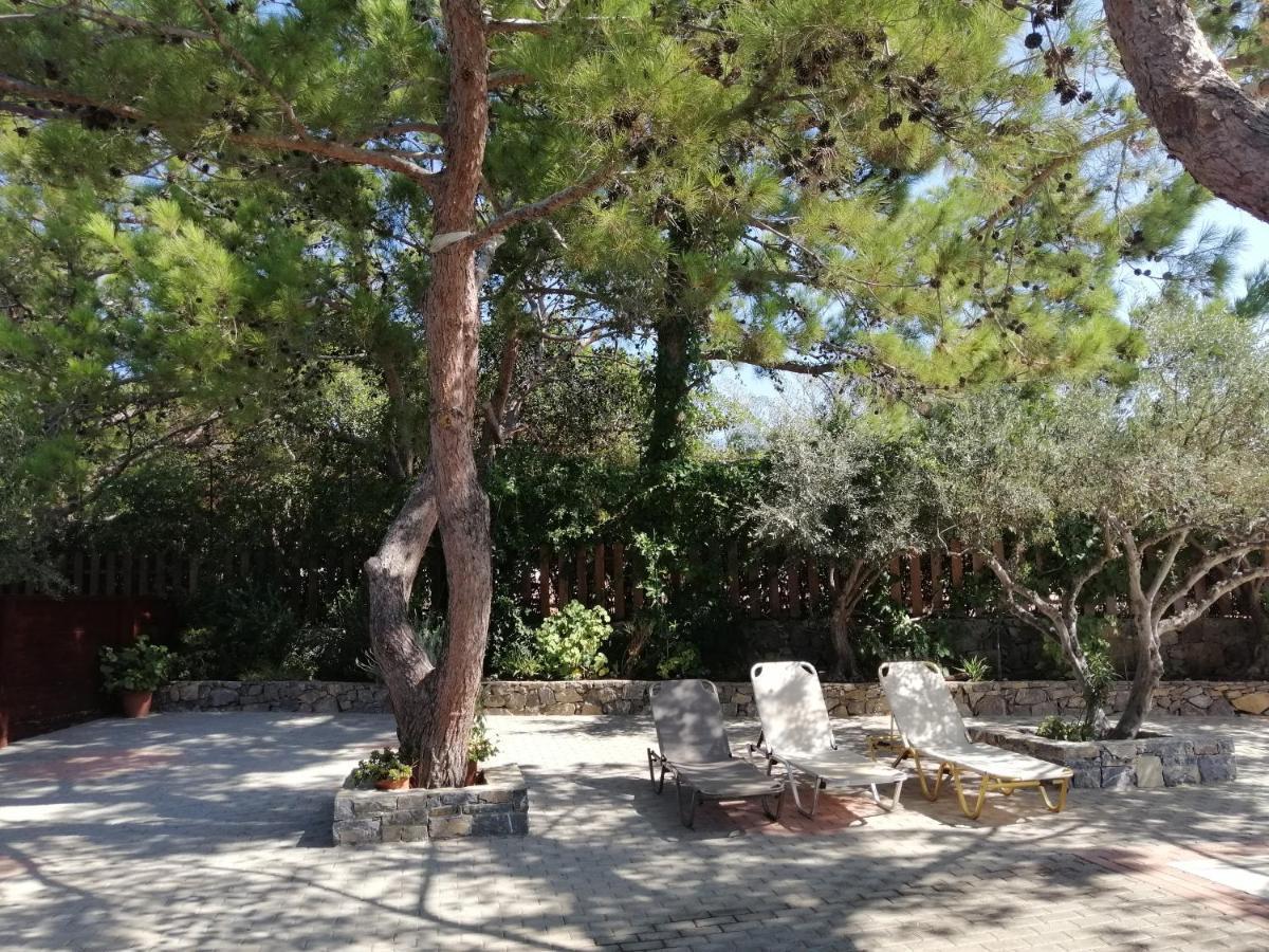Ferma Solaris Apartments Agia Fotia  Esterno foto