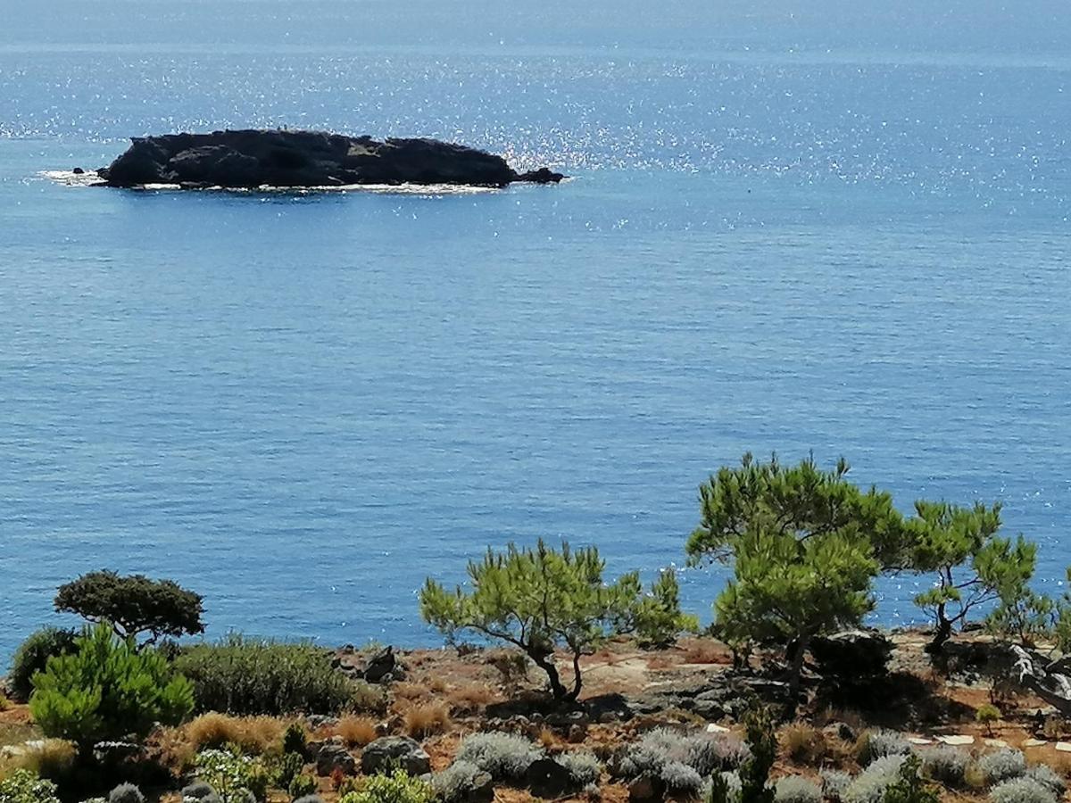 Ferma Solaris Apartments Agia Fotia  Esterno foto